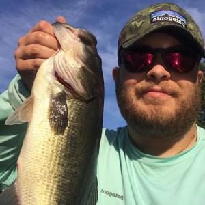 Meet your Posher, Alexander